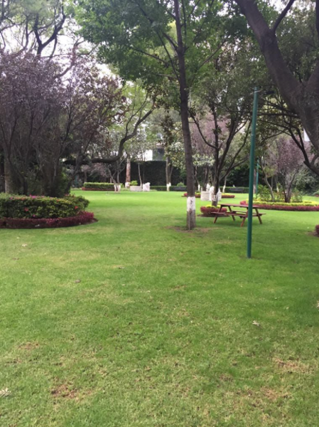 Departamento en venta y renta en Lomas de Chapultepec I Sección, Miguel Hidalgo, Ciudad de México Departamento en venta y renta en Lomas de Chapultepec I Sección, Miguel Hidalgo, Ciudad de México