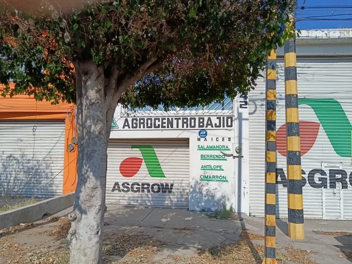 Bodega en renta en Ganadera, Irapuato — foto 1 de 9