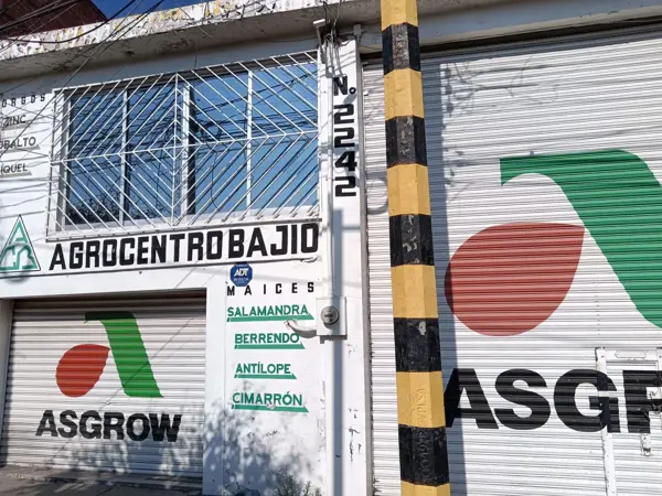 Bodega en renta en Ganadera, Irapuato — foto 2 de 9