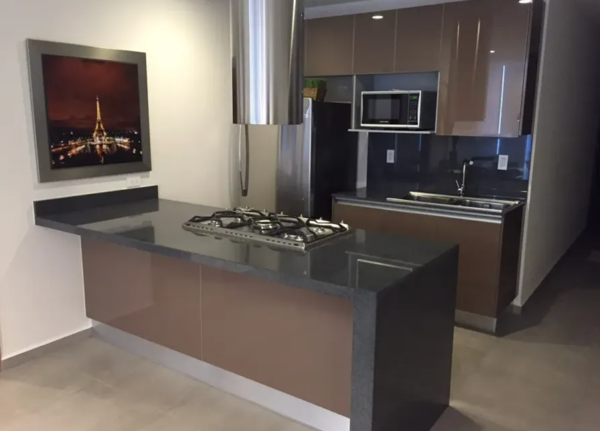 Departamento en renta en Polanco II Sección, Miguel Hidalgo — foto 3 de 19