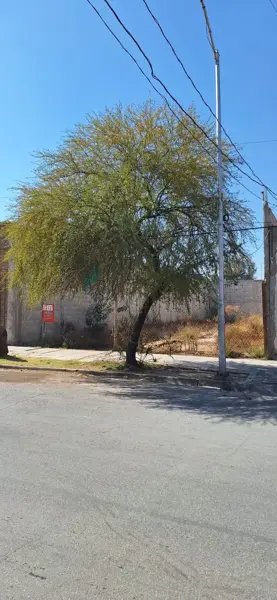 Terreno en renta en Gomez Palacio Centro, Gómez Palacio — foto 2 de 4