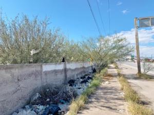 Terreno en venta en La Rosita, Torreón — foto 3 de 7
