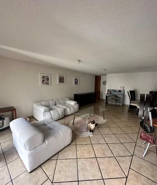 Departamento en San Pedro de los Pinos, Benito Juárez, Ciudad de México