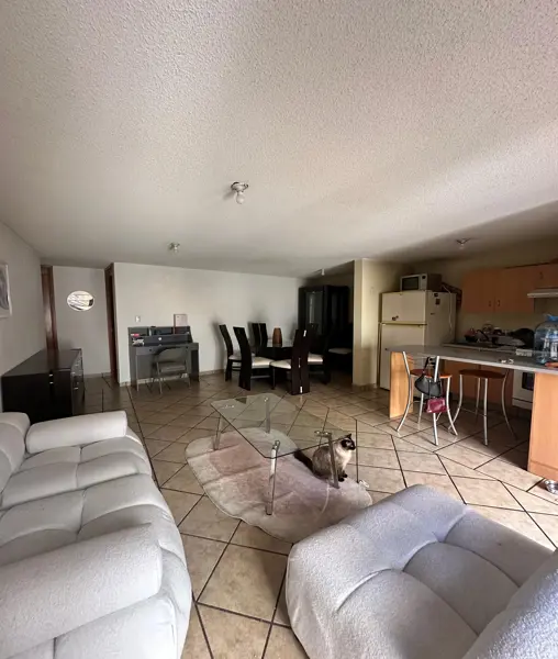 Departamento en venta en San Pedro de los Pinos, Benito Juárez — foto 3 de 7
