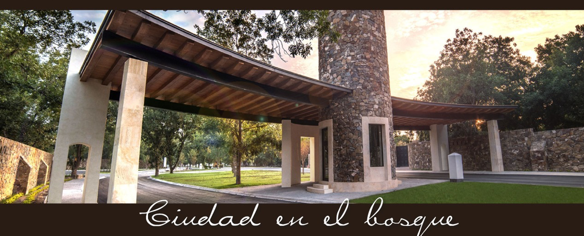 Terreno en venta en Peña Alta, Saltillo — foto 1 de 11