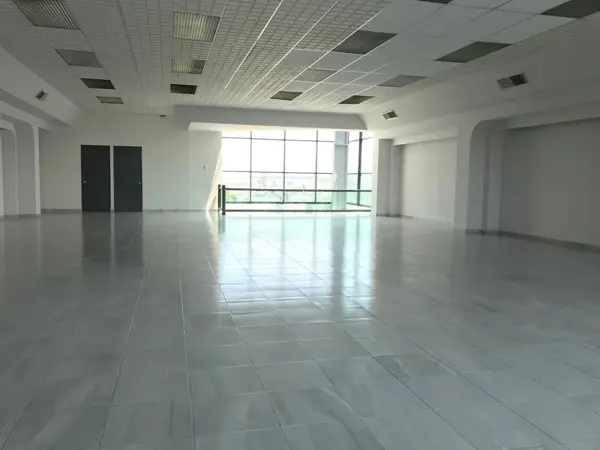 Edificio en renta en Las Reynas, Irapuato — foto 3 de 13