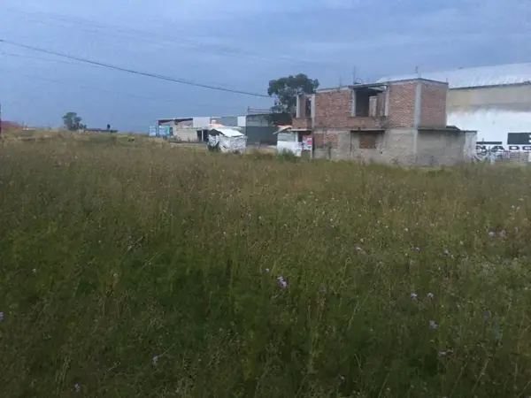 Terreno en venta en San Pedro de la Hortaliza (Ejido Almoloyán), Almoloya de Juárez, México