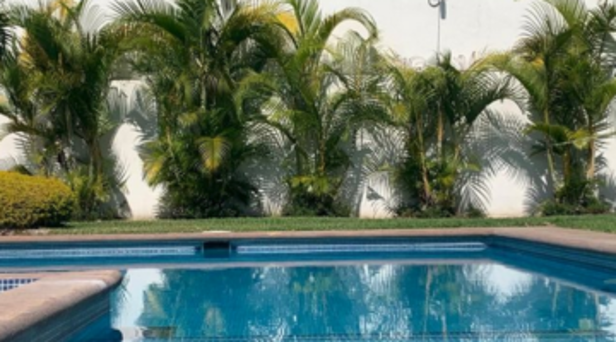 Departamento en renta en San Anton, Cuernavaca — foto 1 de 33