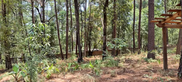 Terreno en venta en Avandaro, Valle de Bravo — foto 3 de 7