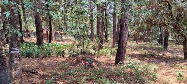 Terreno en venta en Avandaro, Valle de Bravo — foto 2 de 7