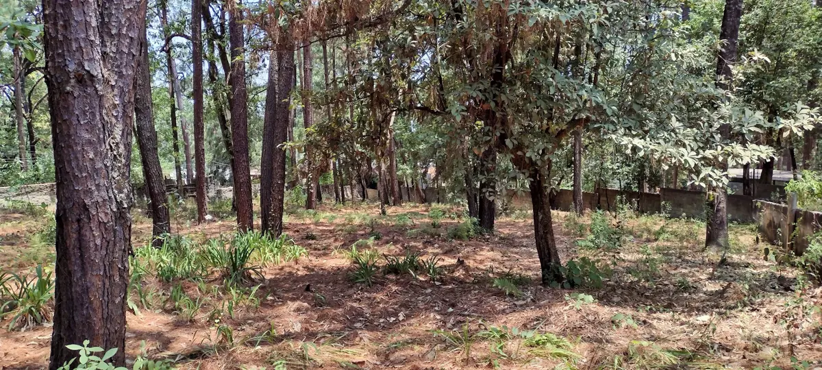 Terreno en venta en Avandaro, Valle de Bravo — foto 1 de 7