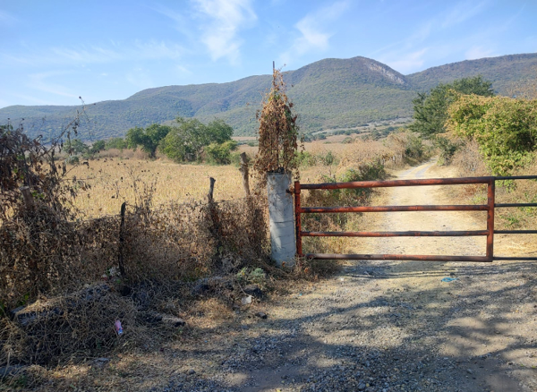 Terreno en venta en El Platanar, Malinalco — foto 3 de 5
