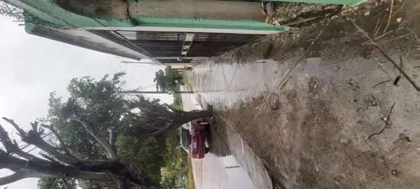 Casa en venta en Supermanzana 216, Benito Juárez — foto 2 de 13