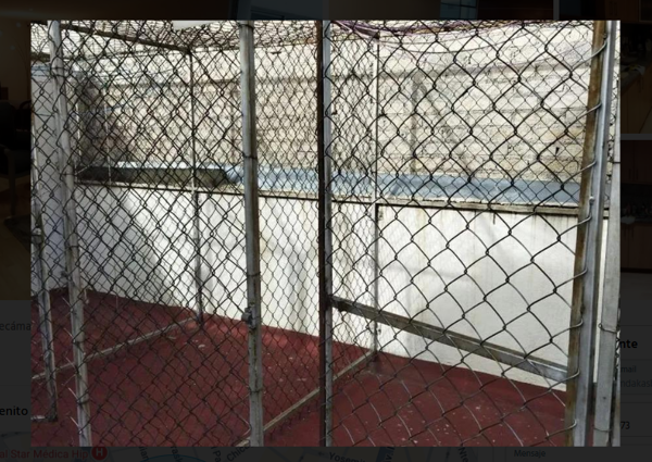 Departamento en renta en Napoles, Benito Juárez — foto 2 de 17