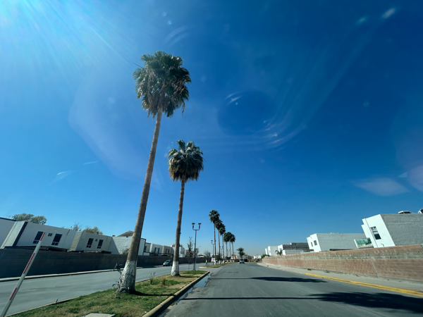 Terreno en venta en Villas del Renacimiento, Torreón — foto 2 de 9