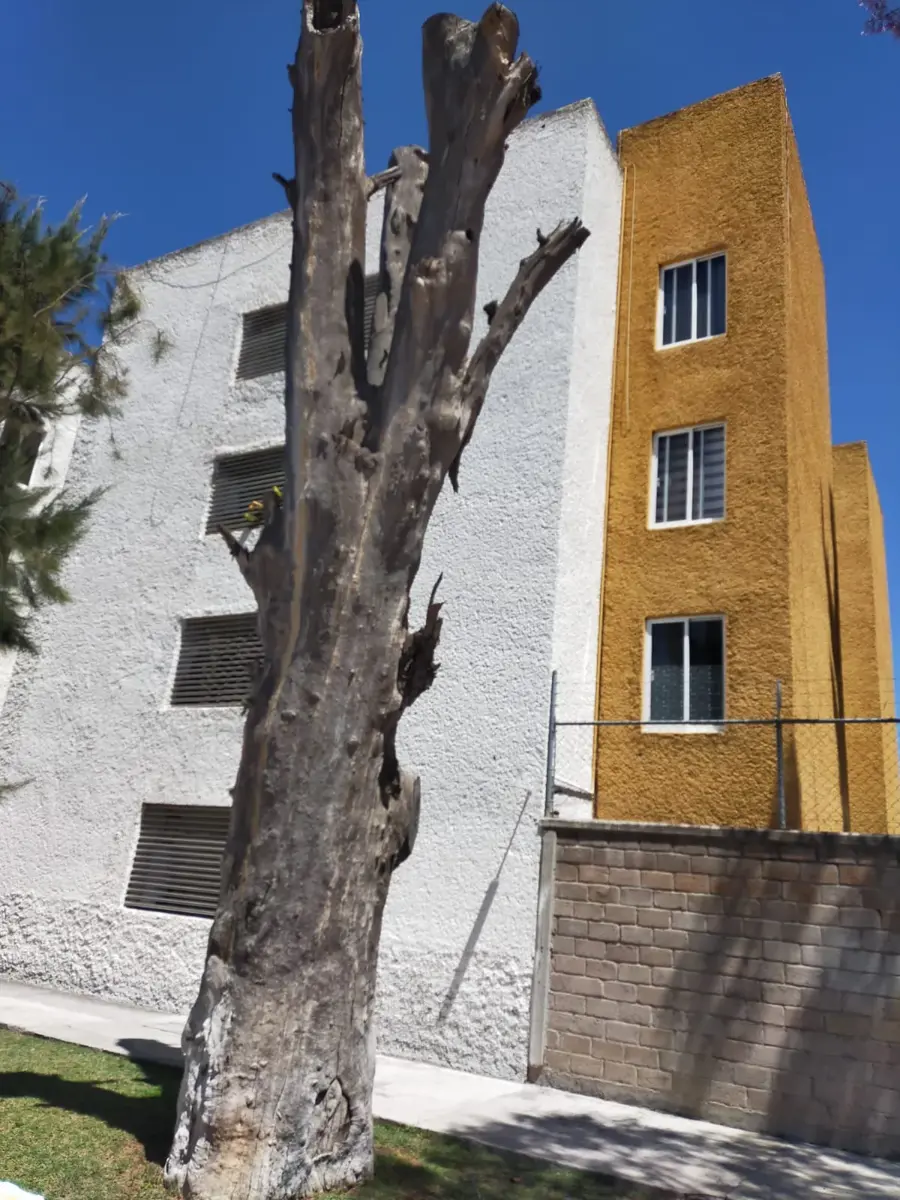 Departamento en venta en San Miguelito, Irapuato — foto 1 de 14