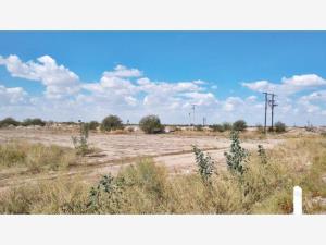 Terreno en renta en La Union, Torreón — foto 3 de 5