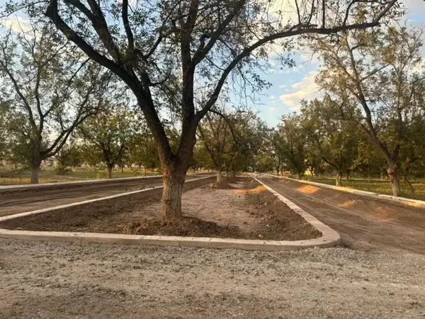 Terreno en venta en La Barranca, Torreón — foto 3 de 6