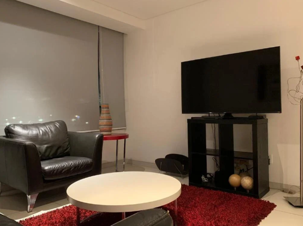 Departamento en renta en Anáhuac I Sección, Miguel Hidalgo — foto 3 de 15