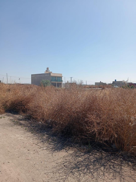 Terreno en venta en Las Américas, Ecatepec de Morelos — foto 2 de 15