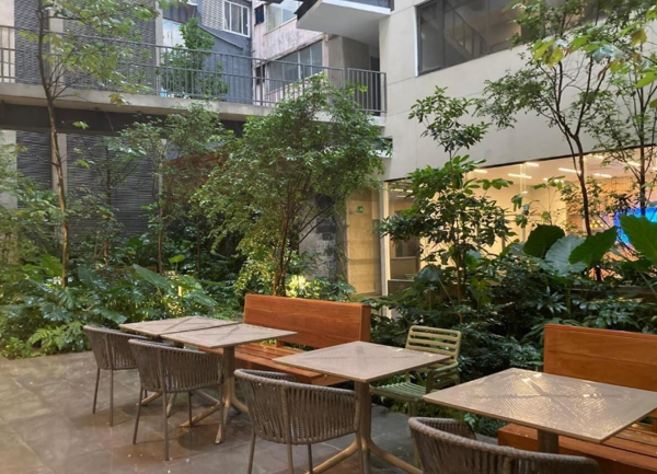 Departamento en renta en Roma Norte, Cuauhtémoc — foto 2 de 14