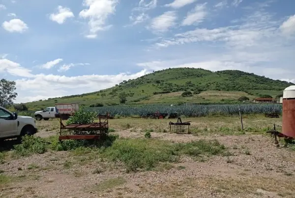 Terreno en venta en Santa Cruz de la Loma (tepetates), Tlajomulco de Zúñiga — foto 3 de 8