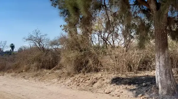 Terreno en venta en Santa Bárbara, Huichapan — foto 3 de 7