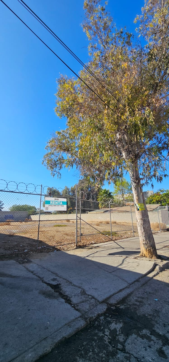 Terreno en renta en Libertad, Tijuana — foto 1 de 2