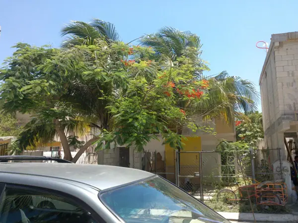 Casa en venta en La Guadalupana, Solidaridad — foto 2 de 8