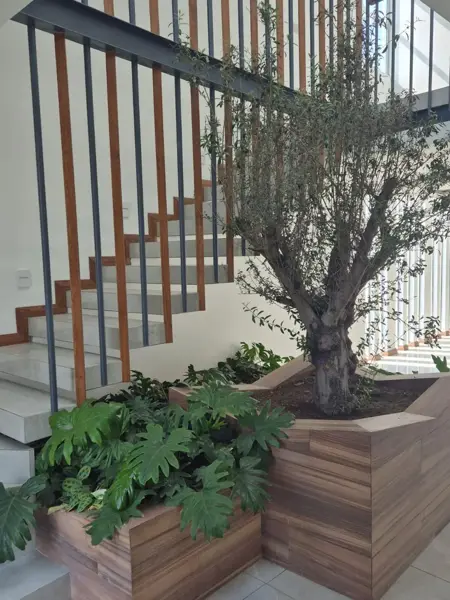 Casa en venta en Residencial Lagos, Pachuca de Soto — foto 3 de 19
