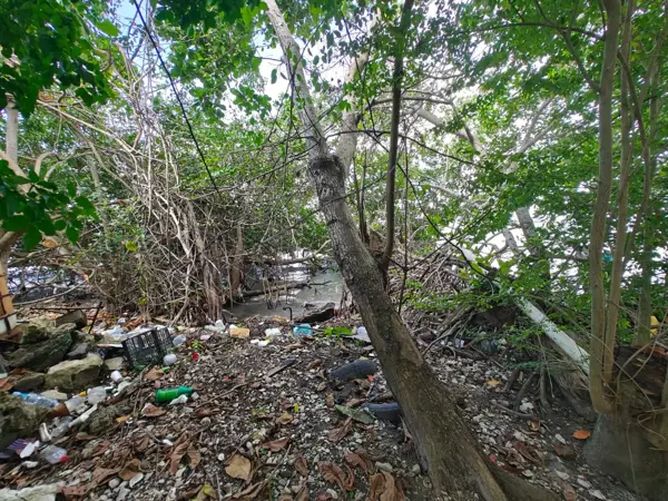 Terreno en venta en Ciudad Cuauhtémoc, Pueblo Viejo — foto 3 de 4