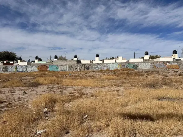 Terreno en venta en Campo Nuevo de Zaragoza, Torreón — foto 3 de 4