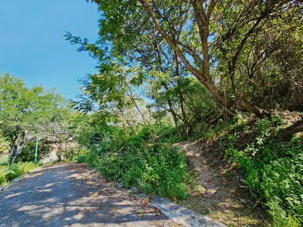 Terreno en venta en Club de Golf Hacienda San Gaspar, Jiutepec — foto 3 de 6