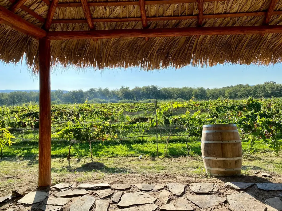 Terreno en venta en Del Marquez, Parras — foto 1 de 8