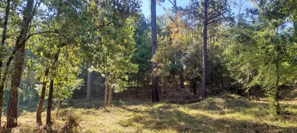 Terreno en venta en Avandaro, Valle de Bravo — foto 2 de 8