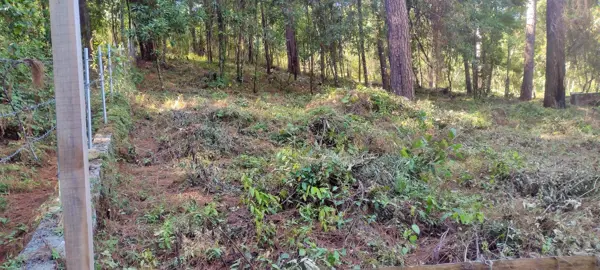 Terreno en venta en Avandaro, Valle de Bravo — foto 3 de 8