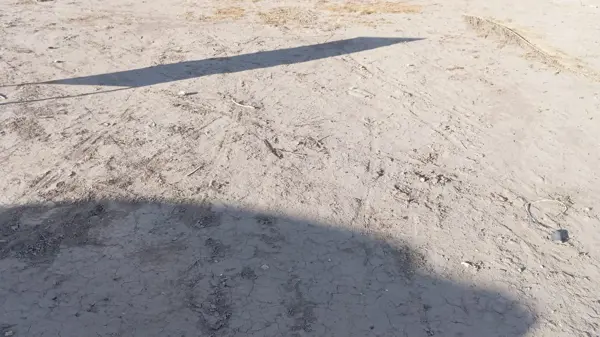 Terreno en venta en Hacienda del Rosario, Torreón — foto 3 de 4