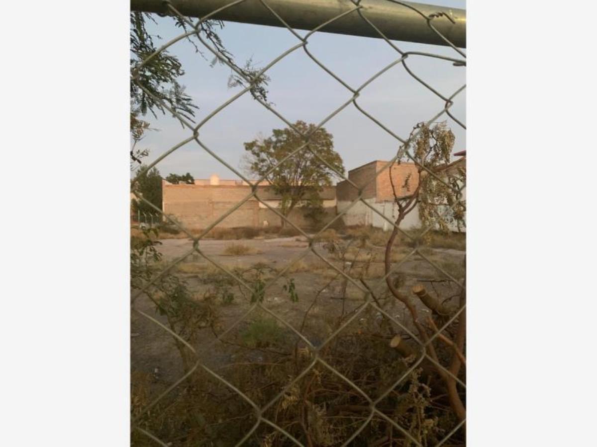 Terreno en Renta en Gomez Palacio Centro, Gómez Palacio, Durango