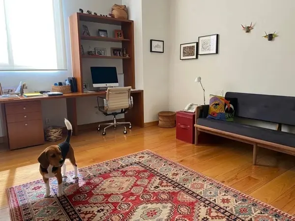 Departamento en venta en San Mateo Tlaltenango, Cuajimalpa de Morelos — foto 3 de 10