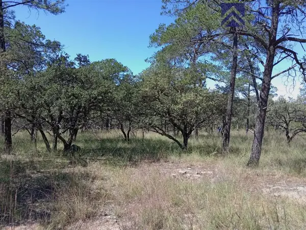 Terreno en venta en Presidente Salvador Allende, Durango — foto 3 de 12