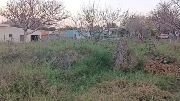 Terreno en venta en Anton Lizardo, Alvarado — foto 3 de 4