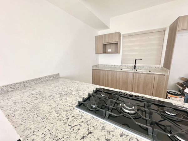 Casa en renta en Los Viñedos, Torreón — foto 2 de 20