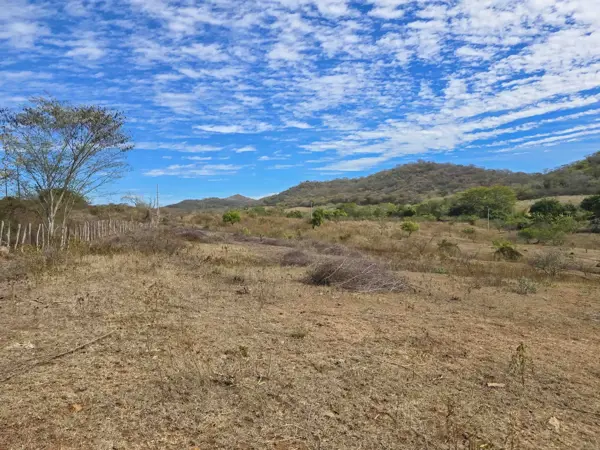 Terreno en venta en El Habal, Mazatlán — foto 3 de 20