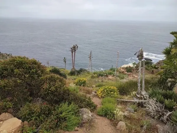 Terreno en venta en Playa de Ensenada, Ensenada — foto 2 de 3