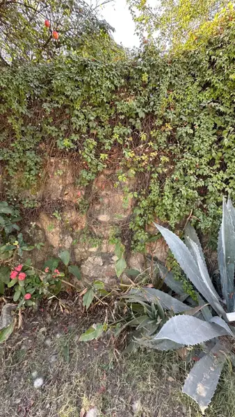 Terreno en venta en San Esteban (San Miguel Tateposco), Zapopan — foto 2 de 13