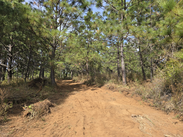 Terreno en venta en Tapalpa, Tapalpa — foto 3 de 21
