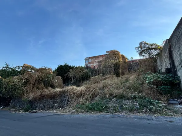 Terreno en venta en Tres de Mayo, Emiliano Zapata — foto 2 de 17