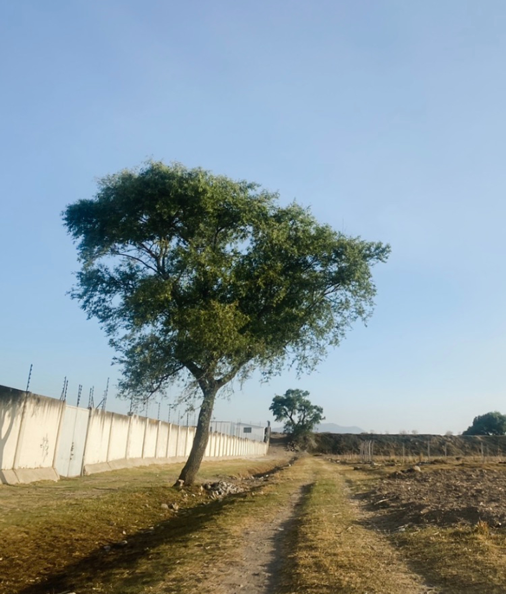Terreno en venta en San Miguel Totocuitlapilco, Metepec — foto 1 de 2