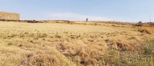 Terreno en venta en Santa Maria Magdalena Ocotitlan, Metepec — foto 3 de 4