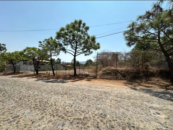 Terreno en venta en Emiliano Zapata, El Arenal — foto 3 de 5